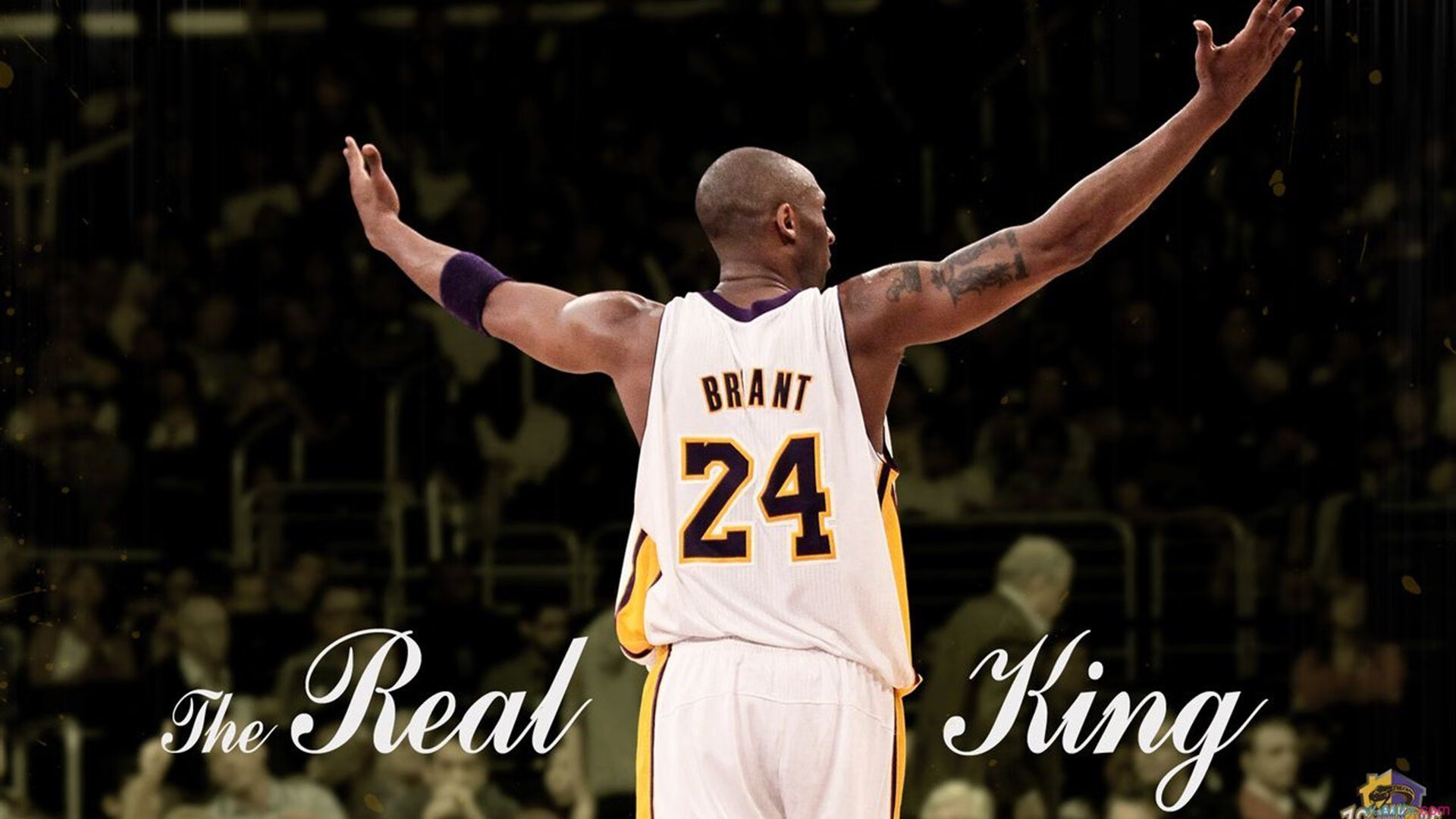 杨瀚森连续四场遭DNP！其余三中锋皆登场，杨瀚森身高